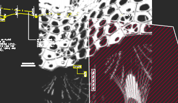 Transparency Command